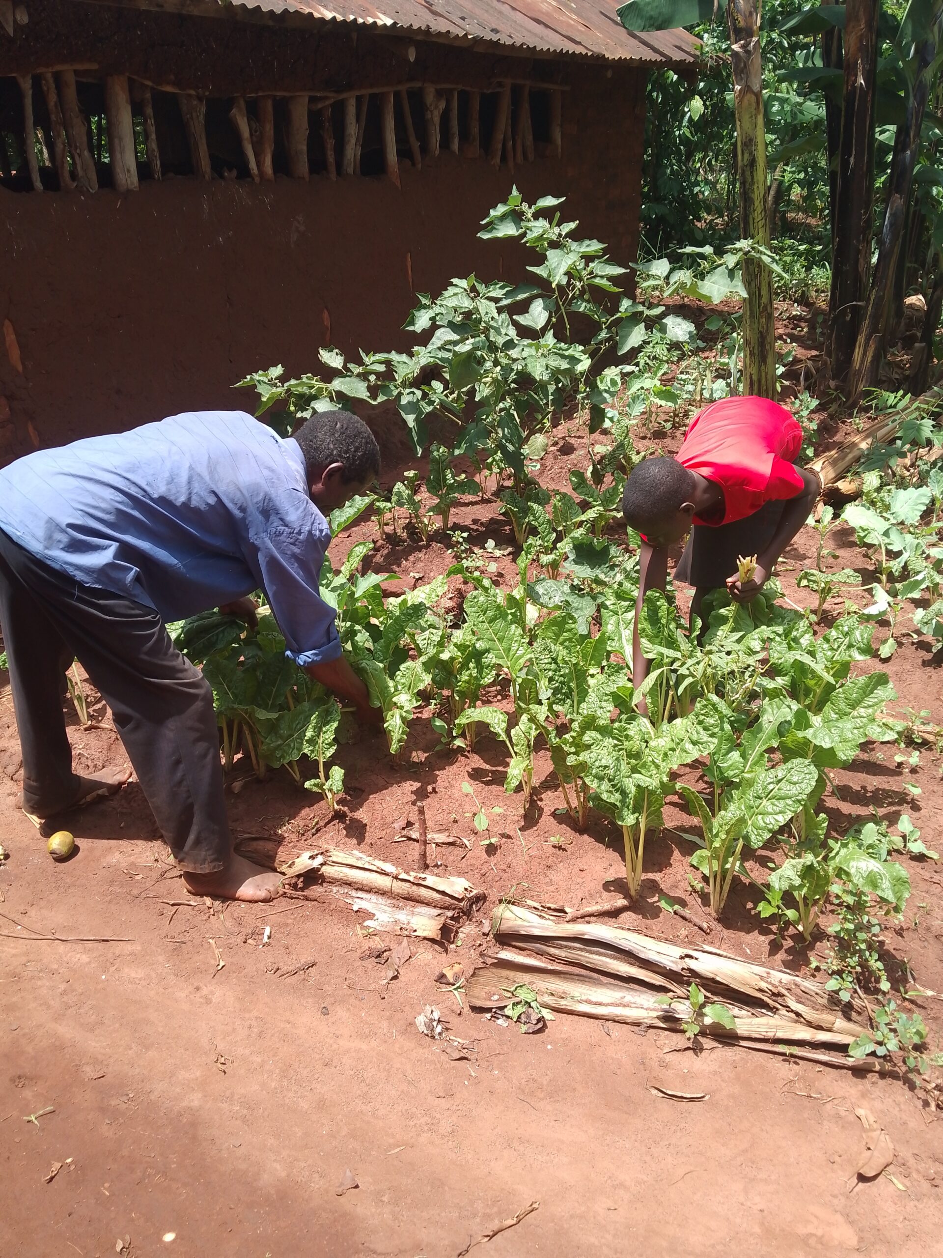 img 20250424 115130 6191 scaled.jpg